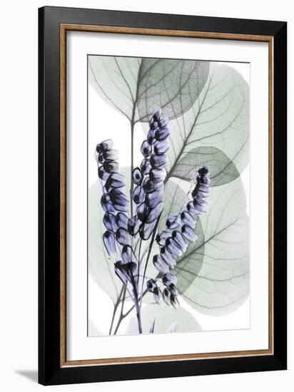 Very Peri Eucalyptus 2-Albert Koetsier-Framed Art Print