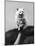 Very Small Dog Being Held Up by One Hand-Alfred Eisenstaedt-Mounted Photographic Print