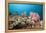 Very Varied Coral Reef, Florida Islands, the Solomon Islands-Reinhard Dirscherl-Framed Premier Image Canvas