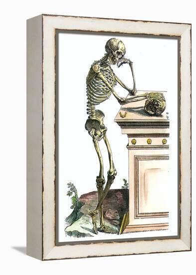 Vesalius: Skeleton, 1543-Andreas Vesalius-Framed Premier Image Canvas