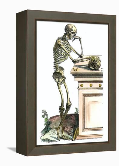 Vesalius: Skeleton, 1543-Andreas Vesalius-Framed Premier Image Canvas