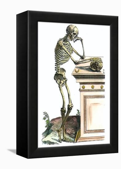 Vesalius: Skeleton, 1543-Andreas Vesalius-Framed Premier Image Canvas