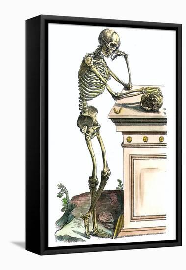 Vesalius: Skeleton, 1543-Andreas Vesalius-Framed Premier Image Canvas