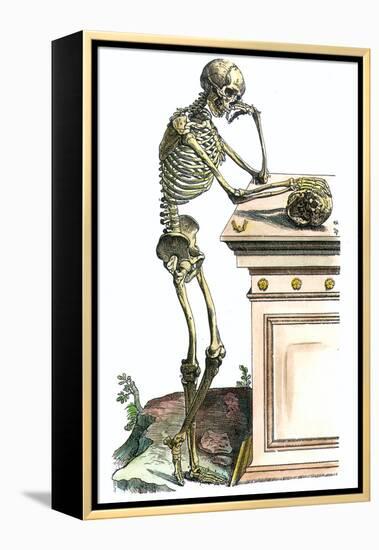 Vesalius: Skeleton, 1543-Andreas Vesalius-Framed Premier Image Canvas