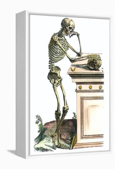 Vesalius: Skeleton, 1543-Andreas Vesalius-Framed Premier Image Canvas