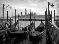 Gondolas in Venice, Black and White-vesilvio-Photographic Print