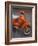 Vespa Scooter, Llanes, Spain-Walter Bibikow-Framed Photographic Print