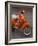 Vespa Scooter, Llanes, Spain-Walter Bibikow-Framed Photographic Print