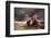 Vespa-Þorsteinn H. Ingibergsson-Framed Photographic Print