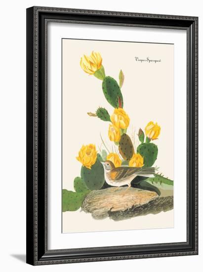 Vesper Sparrow-John James Audubon-Framed Art Print