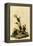 Vesper Sparrow-John James Audubon-Framed Premier Image Canvas