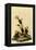 Vesper Sparrow-John James Audubon-Framed Premier Image Canvas