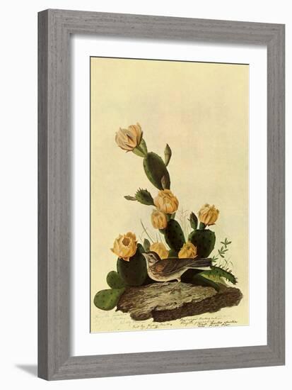 Vesper Sparrow-John James Audubon-Framed Giclee Print