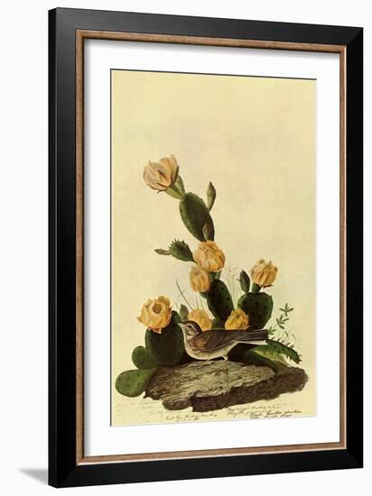 Vesper Sparrow-John James Audubon-Framed Giclee Print