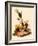 Vesper Sparrow-null-Framed Giclee Print