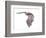 Vespertiliavus Bat-null-Framed Photographic Print