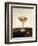 Vessels-Mary Calkins-Framed Giclee Print