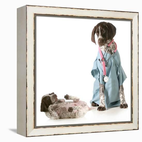 Veterinary Care - German Shorthaired Pointer Dressed as a Veterinarian Looking after Sick Puppy-Willee Cole-Framed Premier Image Canvas