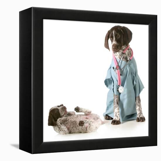 Veterinary Care - German Shorthaired Pointer Dressed as a Veterinarian Looking after Sick Puppy-Willee Cole-Framed Premier Image Canvas