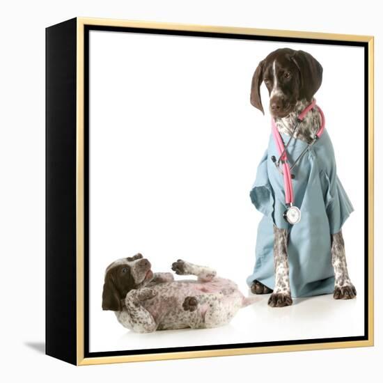 Veterinary Care - German Shorthaired Pointer Dressed as a Veterinarian Looking after Sick Puppy-Willee Cole-Framed Premier Image Canvas