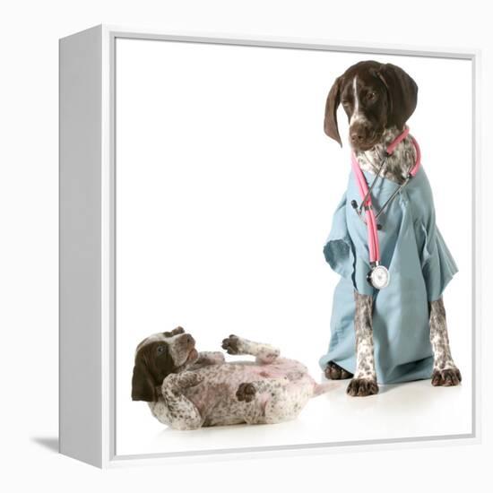 Veterinary Care - German Shorthaired Pointer Dressed as a Veterinarian Looking after Sick Puppy-Willee Cole-Framed Premier Image Canvas