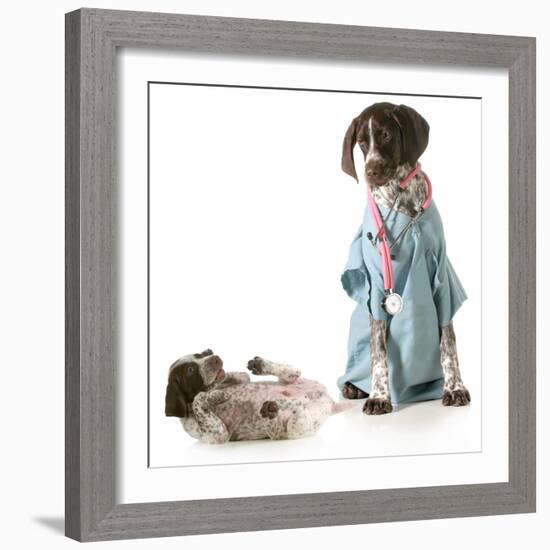 Veterinary Care - German Shorthaired Pointer Dressed as a Veterinarian Looking after Sick Puppy-Willee Cole-Framed Photographic Print