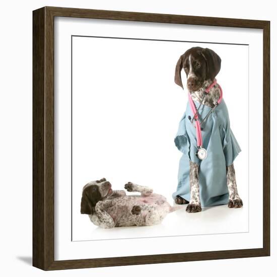 Veterinary Care - German Shorthaired Pointer Dressed as a Veterinarian Looking after Sick Puppy-Willee Cole-Framed Photographic Print