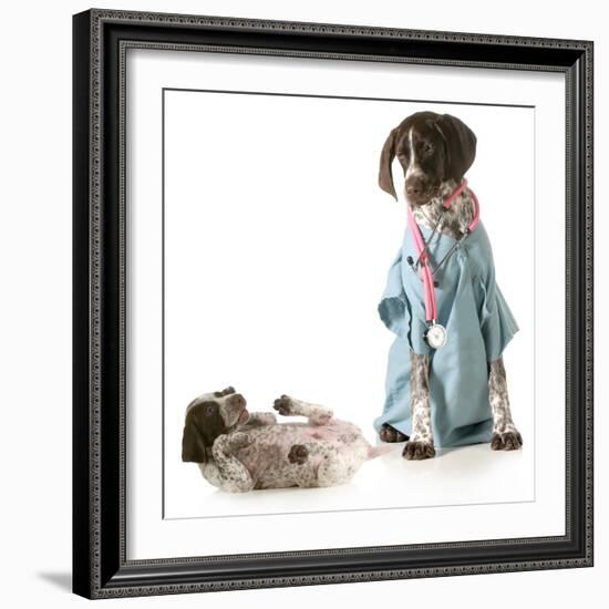 Veterinary Care - German Shorthaired Pointer Dressed as a Veterinarian Looking after Sick Puppy-Willee Cole-Framed Photographic Print