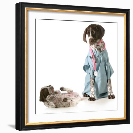 Veterinary Care - German Shorthaired Pointer Dressed as a Veterinarian Looking after Sick Puppy-Willee Cole-Framed Photographic Print