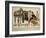 Veterinary Corps-Vintage Apple Collection-Framed Giclee Print