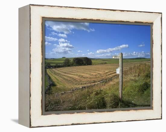 Vew from the High Peak Trail Cycleway and Footpath Along Disused Railway Line, Peak District Nation-David Hughes-Framed Premier Image Canvas