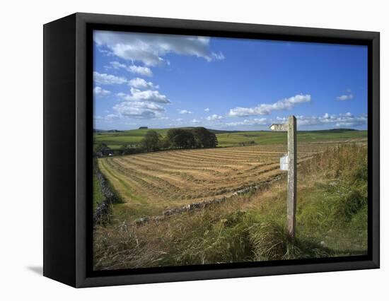 Vew from the High Peak Trail Cycleway and Footpath Along Disused Railway Line, Peak District Nation-David Hughes-Framed Premier Image Canvas