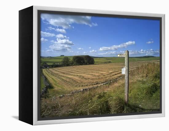 Vew from the High Peak Trail Cycleway and Footpath Along Disused Railway Line, Peak District Nation-David Hughes-Framed Premier Image Canvas