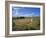 Vew from the High Peak Trail Cycleway and Footpath Along Disused Railway Line, Peak District Nation-David Hughes-Framed Photographic Print