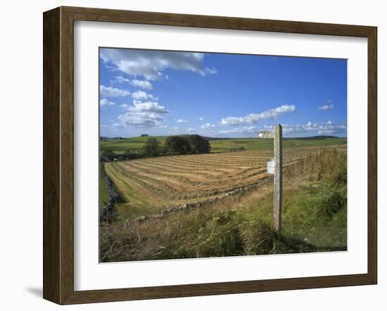 Vew from the High Peak Trail Cycleway and Footpath Along Disused Railway Line, Peak District Nation-David Hughes-Framed Photographic Print