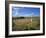 Vew from the High Peak Trail Cycleway and Footpath Along Disused Railway Line, Peak District Nation-David Hughes-Framed Photographic Print