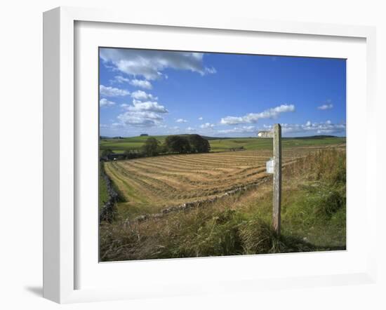 Vew from the High Peak Trail Cycleway and Footpath Along Disused Railway Line, Peak District Nation-David Hughes-Framed Photographic Print