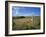 Vew from the High Peak Trail Cycleway and Footpath Along Disused Railway Line, Peak District Nation-David Hughes-Framed Photographic Print