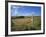 Vew from the High Peak Trail Cycleway and Footpath Along Disused Railway Line, Peak District Nation-David Hughes-Framed Photographic Print