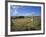 Vew from the High Peak Trail Cycleway and Footpath Along Disused Railway Line, Peak District Nation-David Hughes-Framed Photographic Print