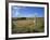 Vew from the High Peak Trail Cycleway and Footpath Along Disused Railway Line, Peak District Nation-David Hughes-Framed Photographic Print