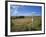 Vew from the High Peak Trail Cycleway and Footpath Along Disused Railway Line, Peak District Nation-David Hughes-Framed Photographic Print