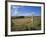 Vew from the High Peak Trail Cycleway and Footpath Along Disused Railway Line, Peak District Nation-David Hughes-Framed Photographic Print