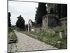 Via Dei Sepolchri, Pompeii, Unesco World Heritage Site, Campania, Italy-Christina Gascoigne-Mounted Photographic Print