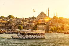 Tourist Boat Floats on the Golden Horn in Istanbul at Sunset, Turkey-Viacheslav Lopatin-Photographic Print