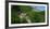 Vianden Castle in the canton of Vianden, Grand Duchy of Luxembourg, Europe-Hans-Peter Merten-Framed Photographic Print