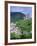 Vianden Castle, Vianden, Luxembourg-Gavin Hellier-Framed Photographic Print