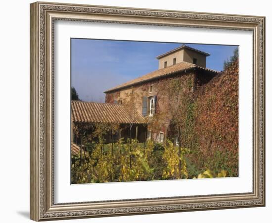 Viansa Winery and Italian Marketplace, Sonoma, California, USA-Alan Klehr-Framed Photographic Print