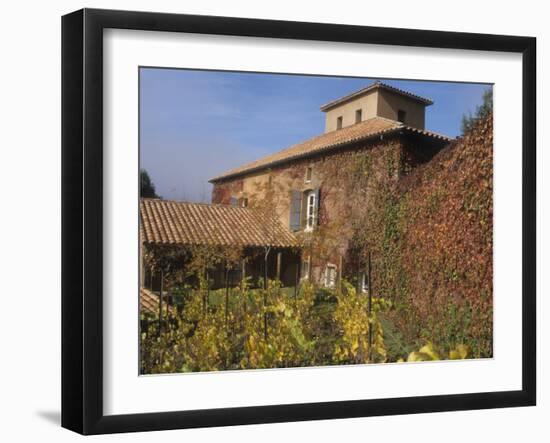 Viansa Winery and Italian Marketplace, Sonoma, California, USA-Alan Klehr-Framed Photographic Print