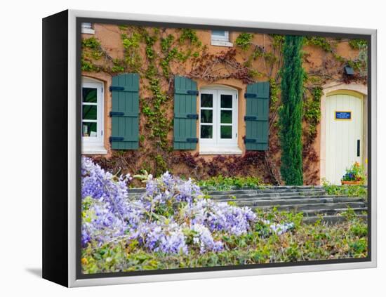 Viansa Winery, Sonoma Valley, California, USA-Julie Eggers-Framed Premier Image Canvas